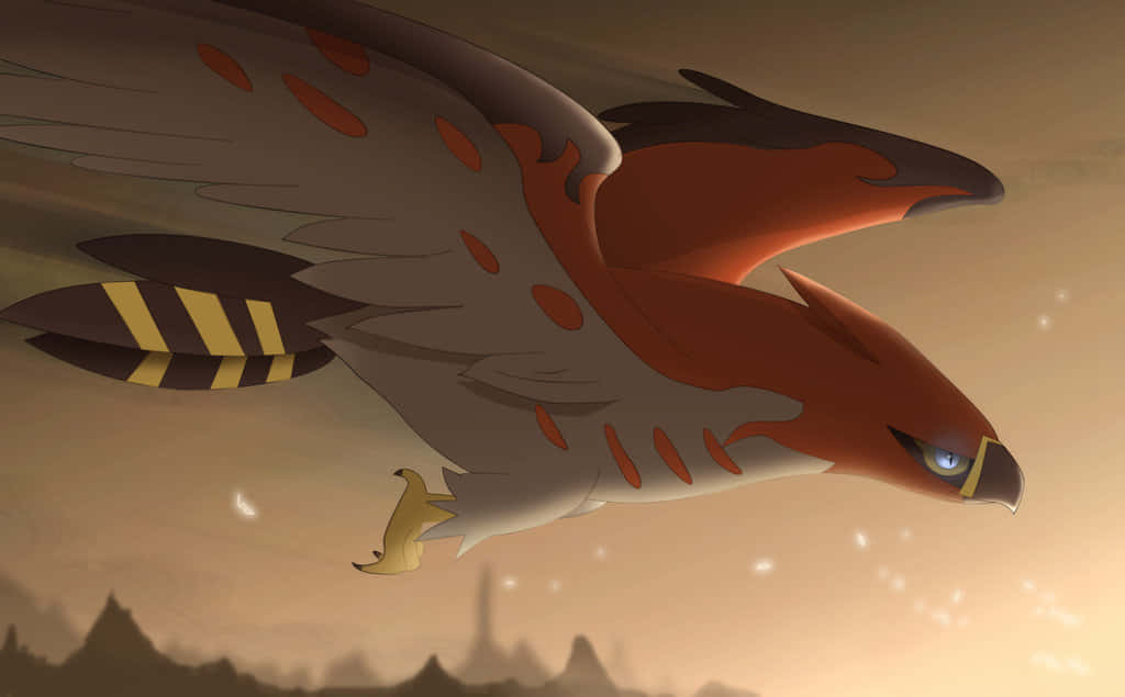Talonflame, anime hawk, orange and gray feathers, SD Desktop Wallpaper