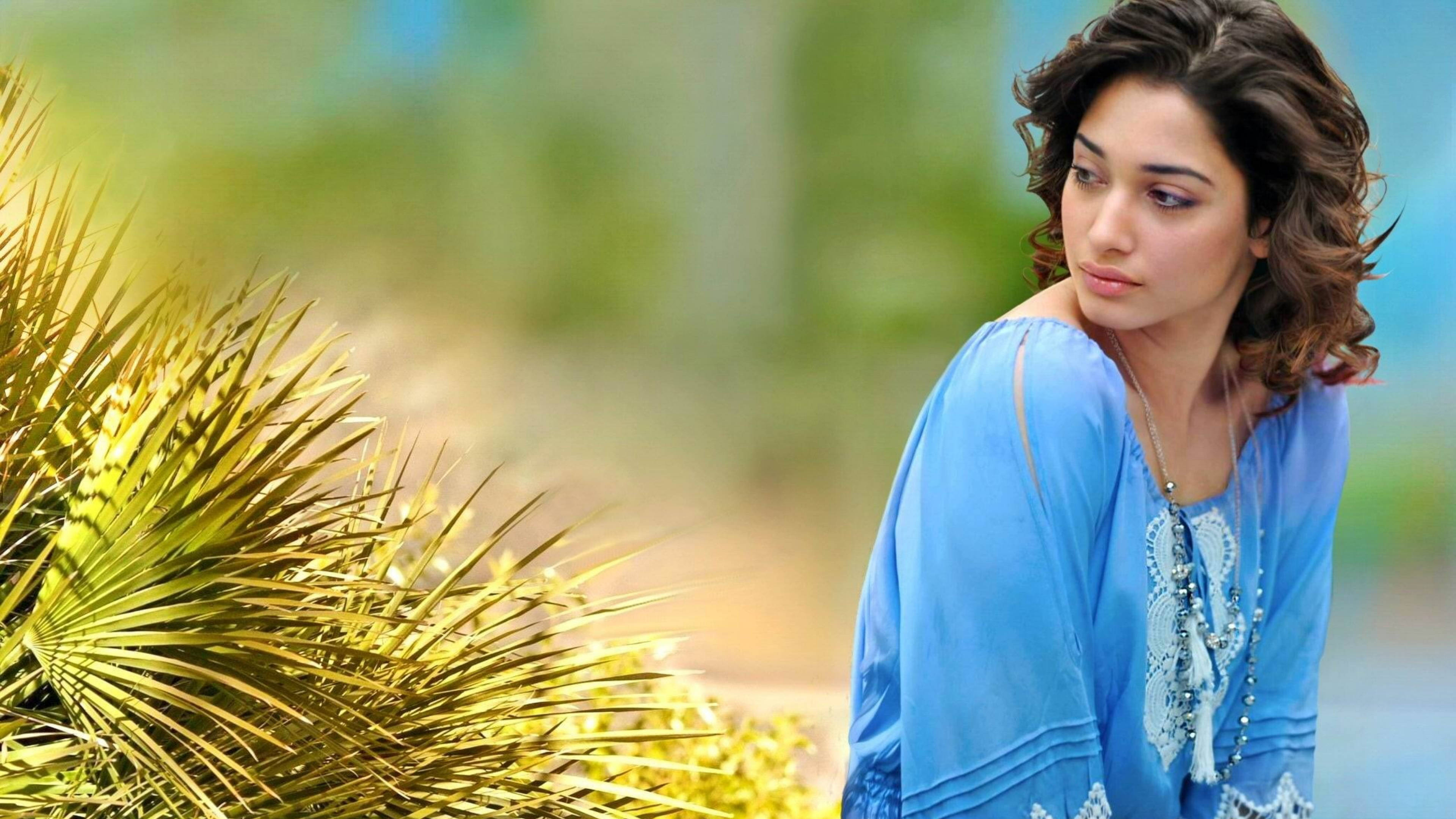 Tamannaah Bhatia, blue embroidered top, spiky golden plant, 4K Desktop Wallpaper