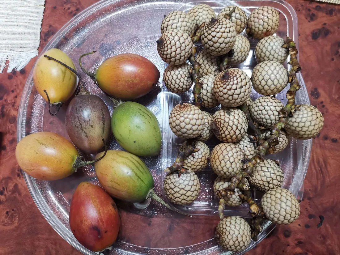 Tamarillo