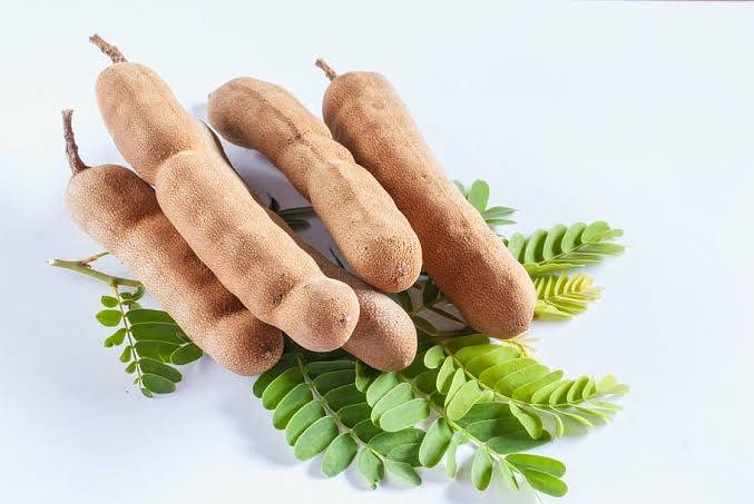 tamarind, green leaves, white background, SD Desktop Wallpaper