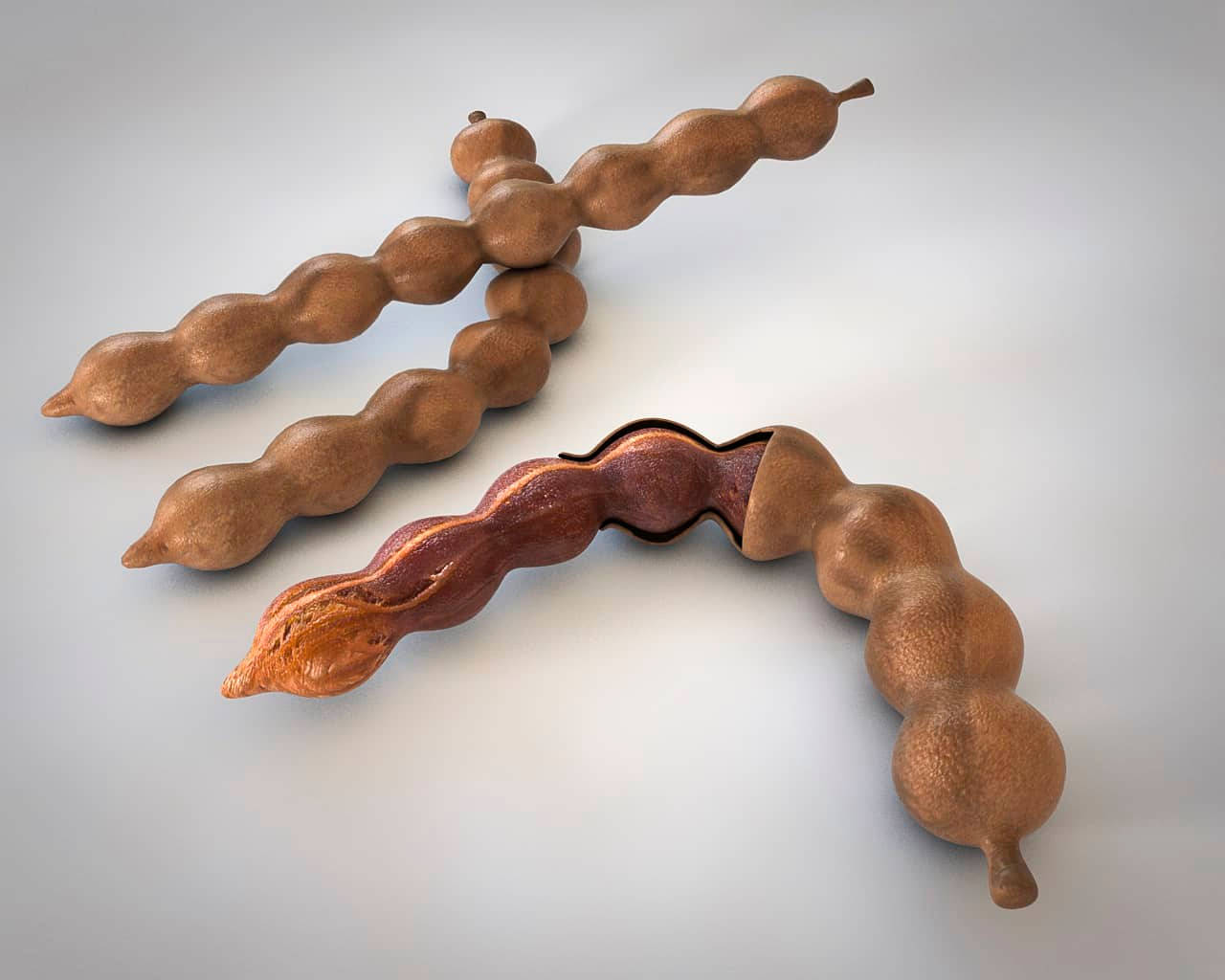 tamarind fruit, tamarind pods, split open, HD Desktop Wallpaper