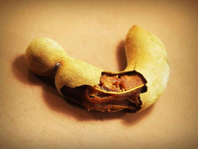tamarind pod, rich brown seeds, warm beige background, SD Desktop Wallpaper