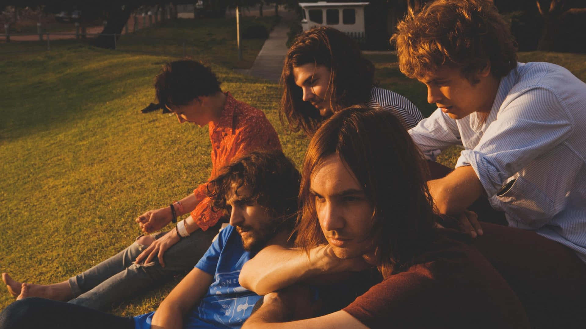 Tame Impala, golden hour, grassy lawn, Full HD Desktop Wallpaper
