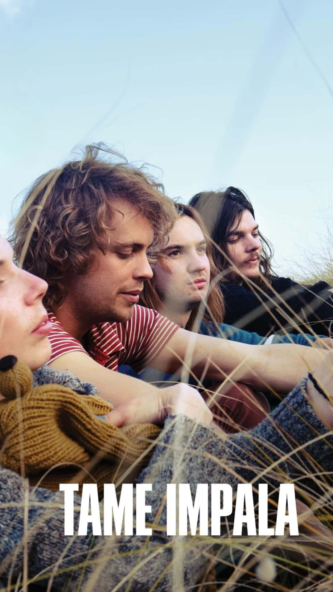 Tame Impala, band members, tall dry grass, Full HD Phone Wallpaper