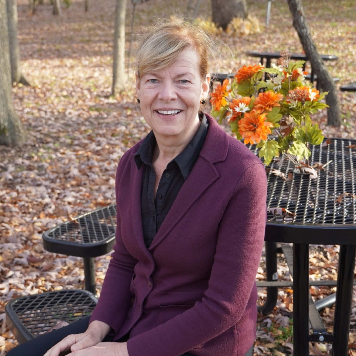 Tammy Baldwin, purple blazer, metal picnic table, HD Desktop Wallpaper