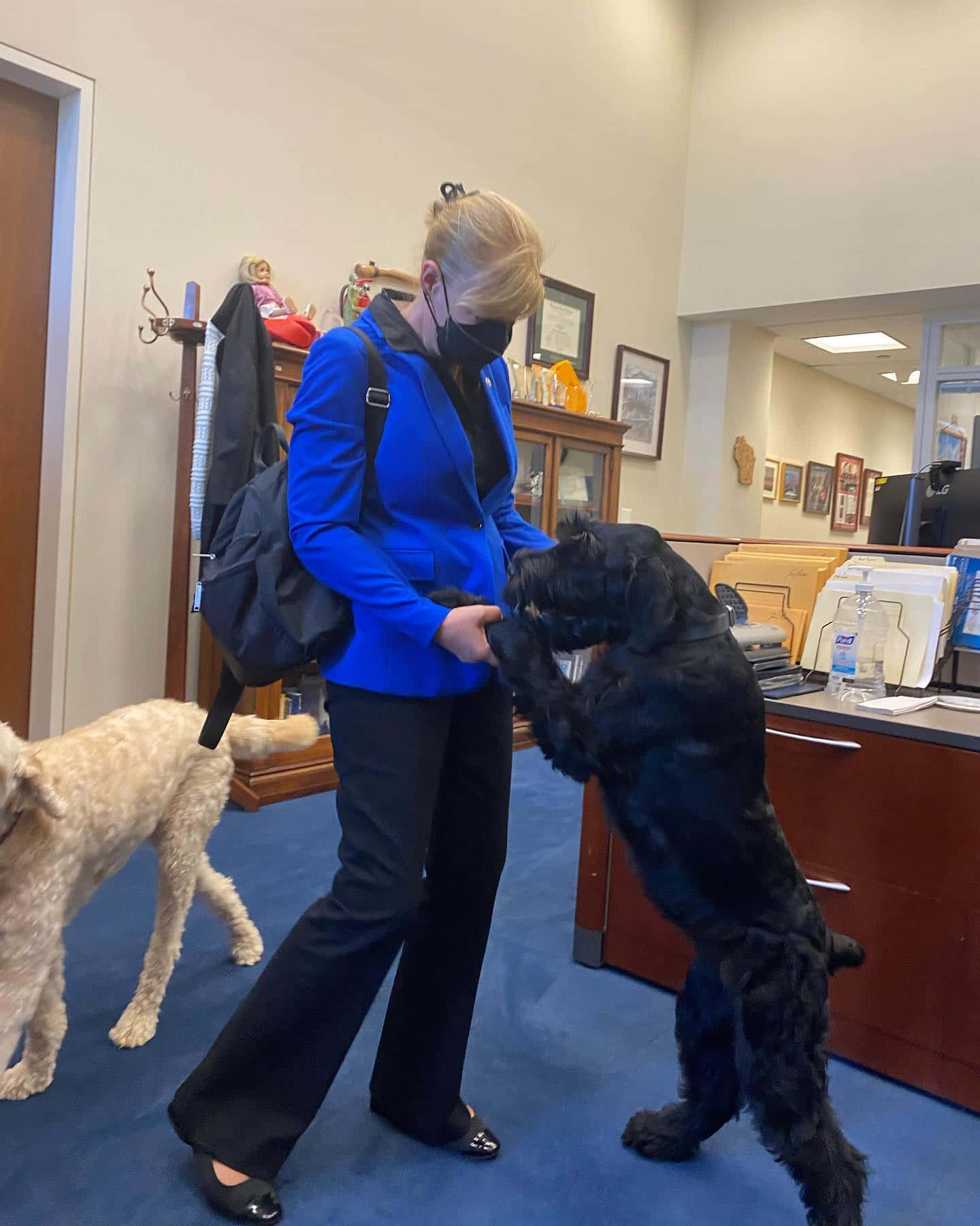 Tammy Baldwin, blue blazer, black dog, HD Phone Wallpaper