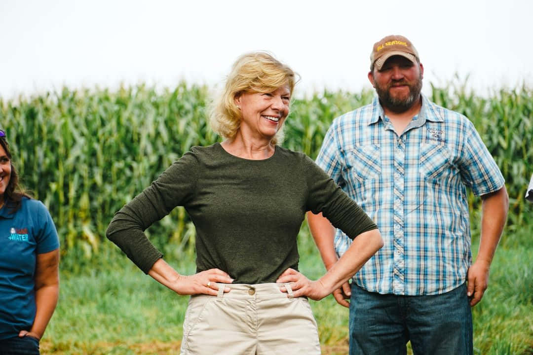 Tammy Baldwin, cornfield, overcast sky, SD Desktop Wallpaper