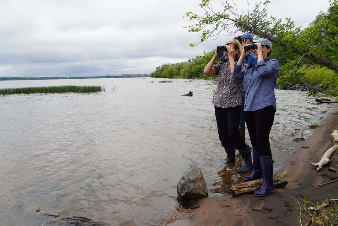 Tammy Baldwin, bird watching, muddy riverbank, SD Desktop Wallpaper