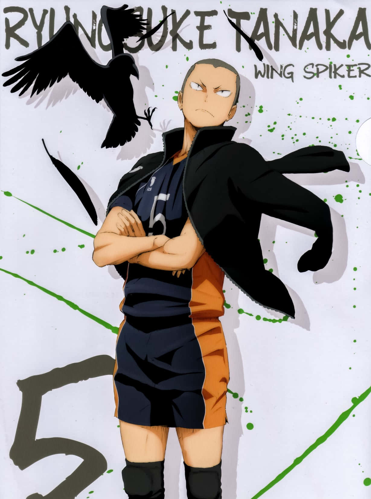 Tanaka Ryunosuke, volleyball uniform, crow, HD Phone Wallpaper