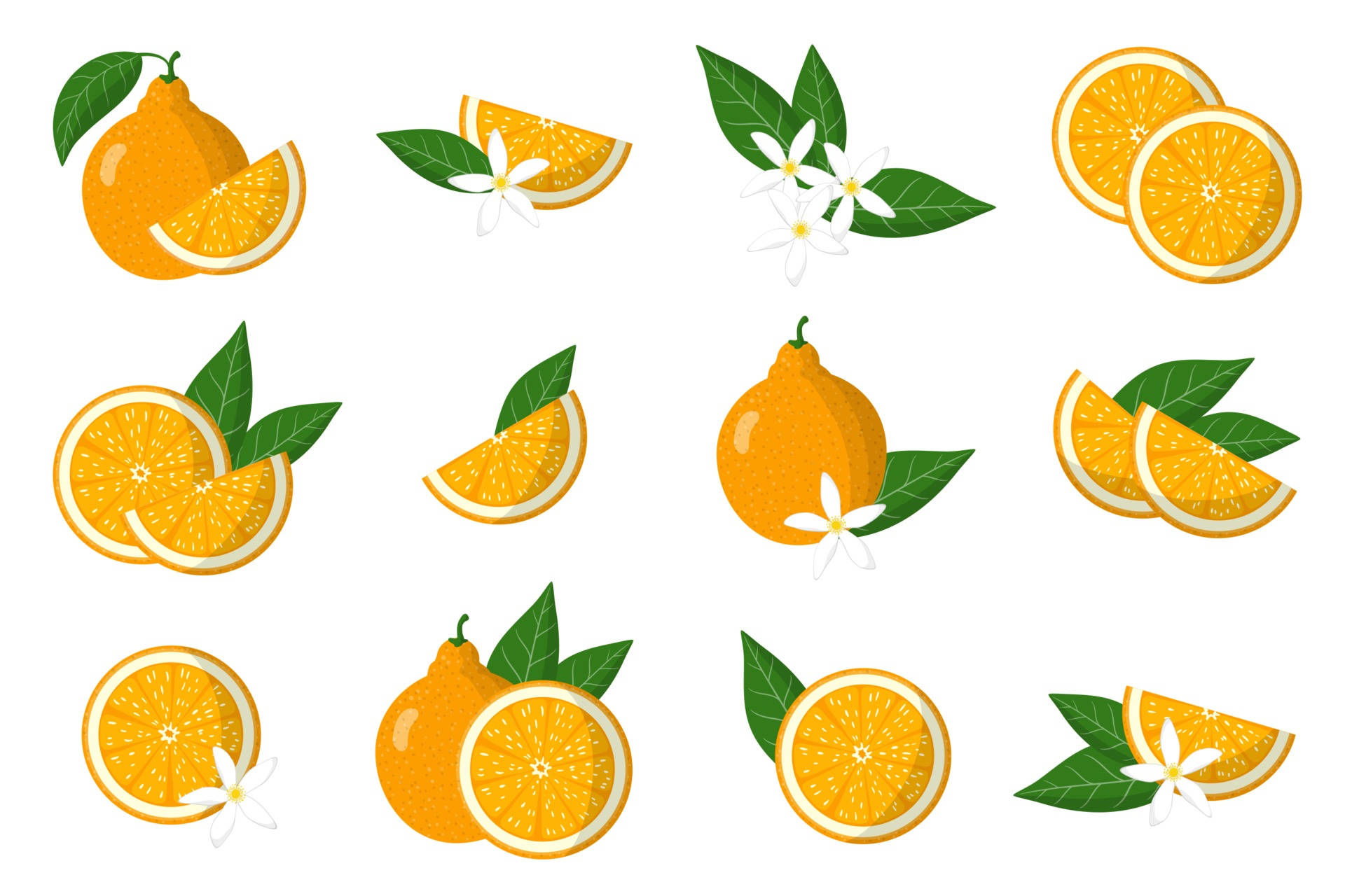 Tangelo, flat vector illustrations, whole sliced oranges, Full HD Desktop Wallpaper