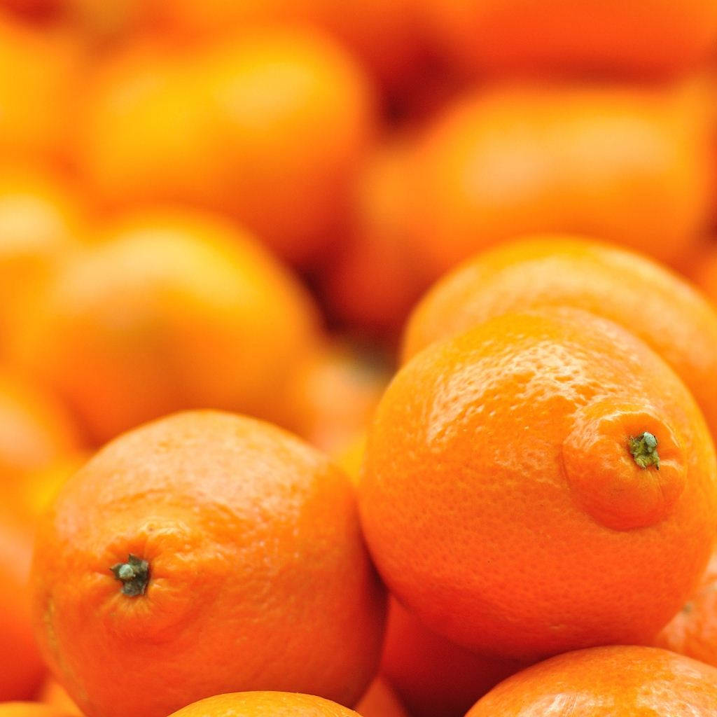 Tangelo, glossy orange citrus fruits, textured peels, SD Desktop Wallpaper