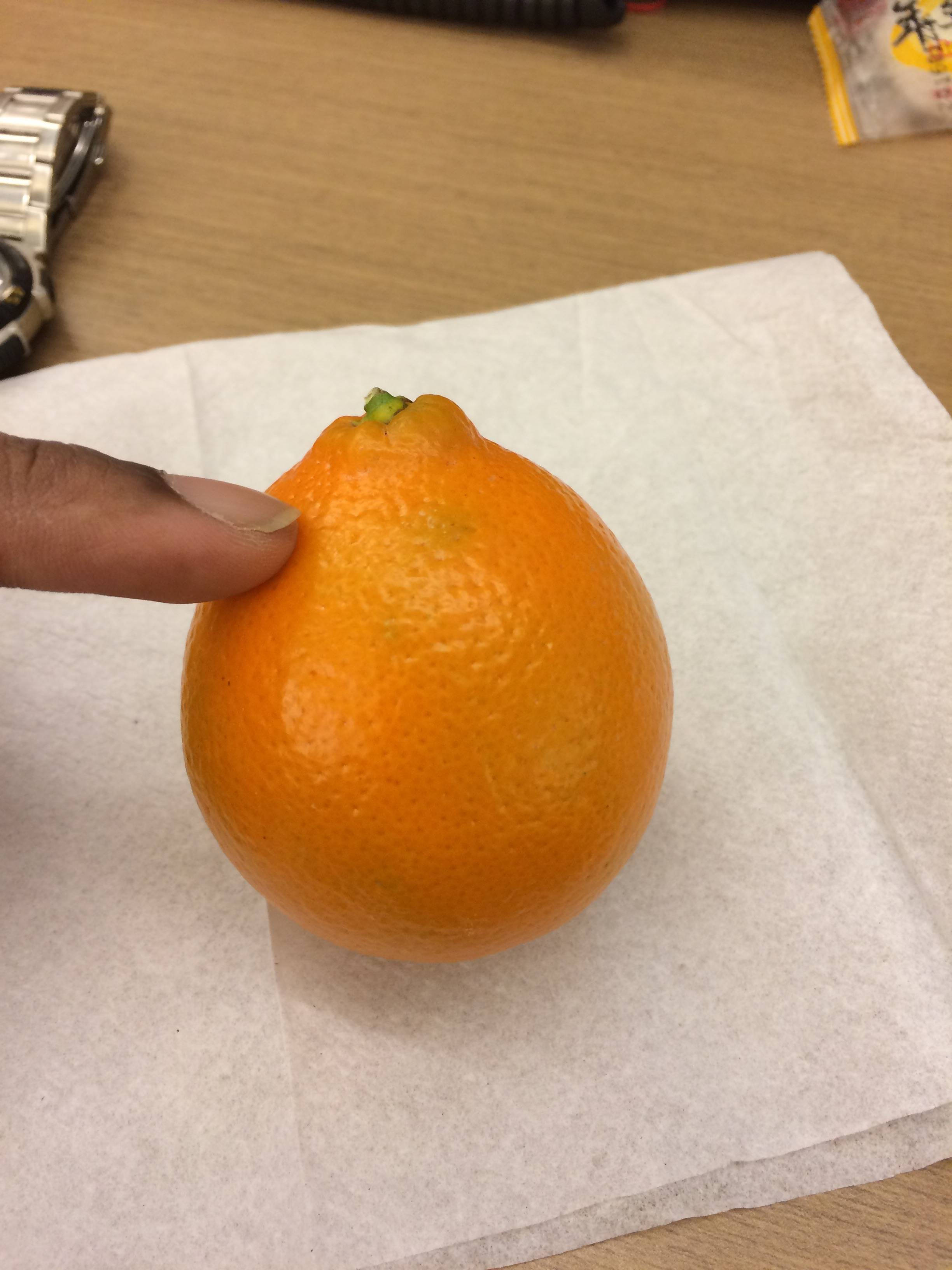 Tangelo, bright orange, white paper towel, 2K Phone Wallpaper