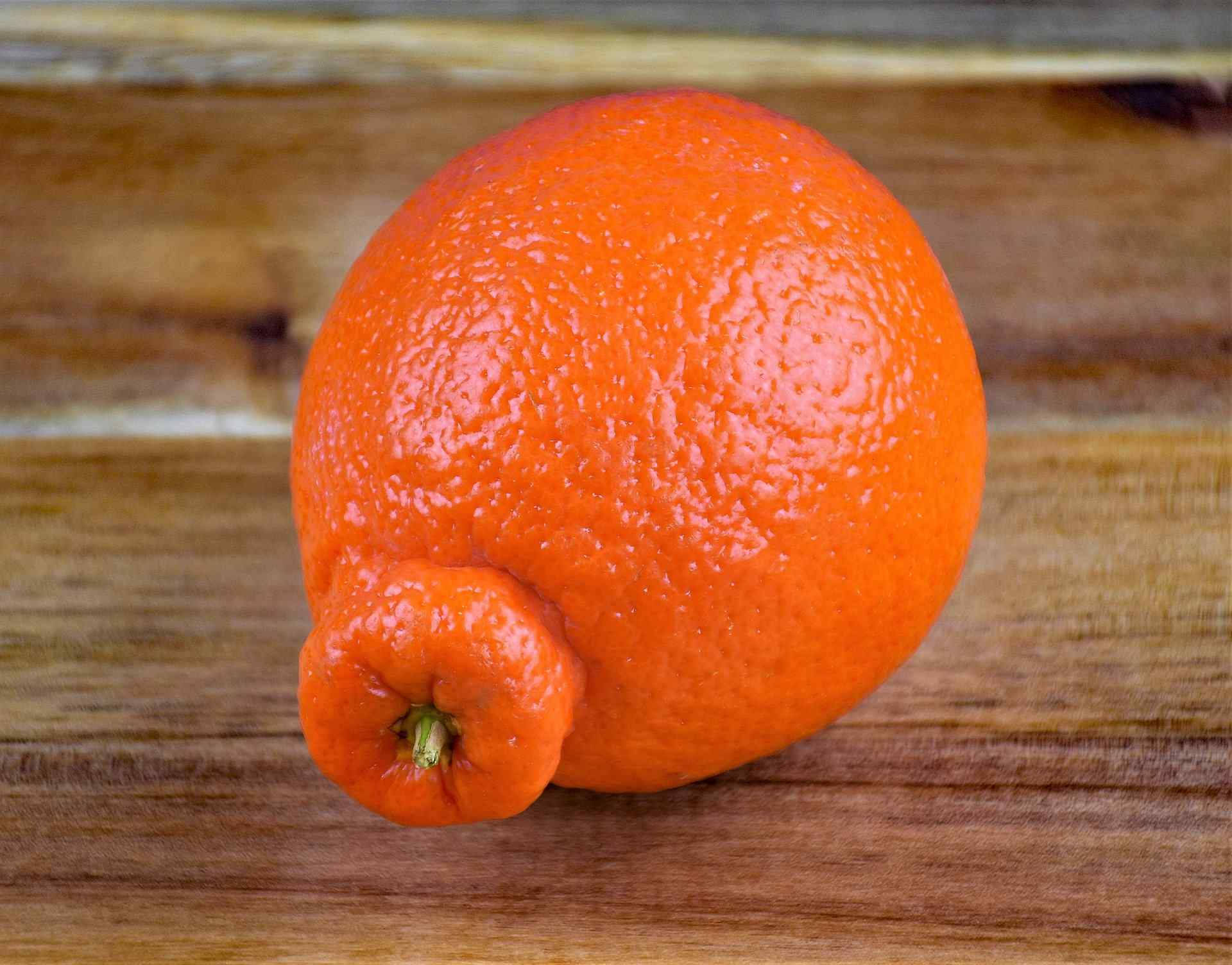 Tangelo, vibrant orange, textured peel, Full HD Desktop Wallpaper