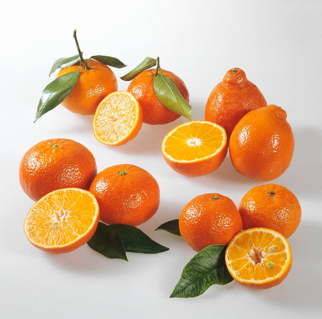 Tangelo, citrus fruits, vibrant oranges, SD Desktop Wallpaper