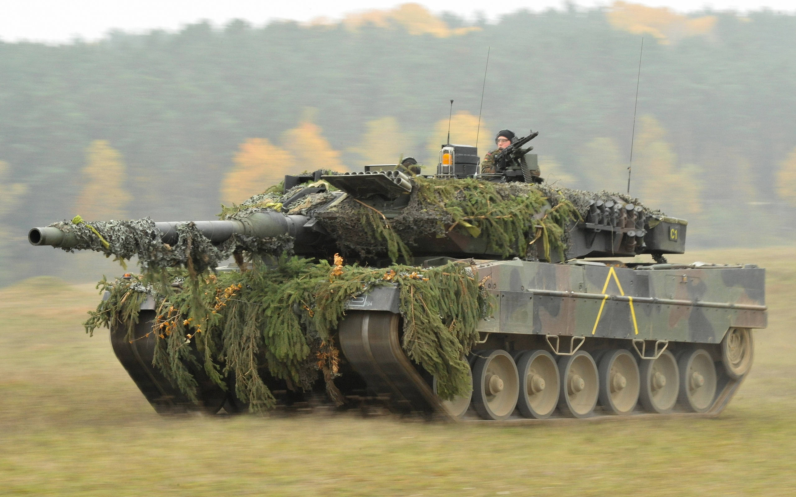 military tank, forest, grassy field, 2K Desktop Wallpaper
