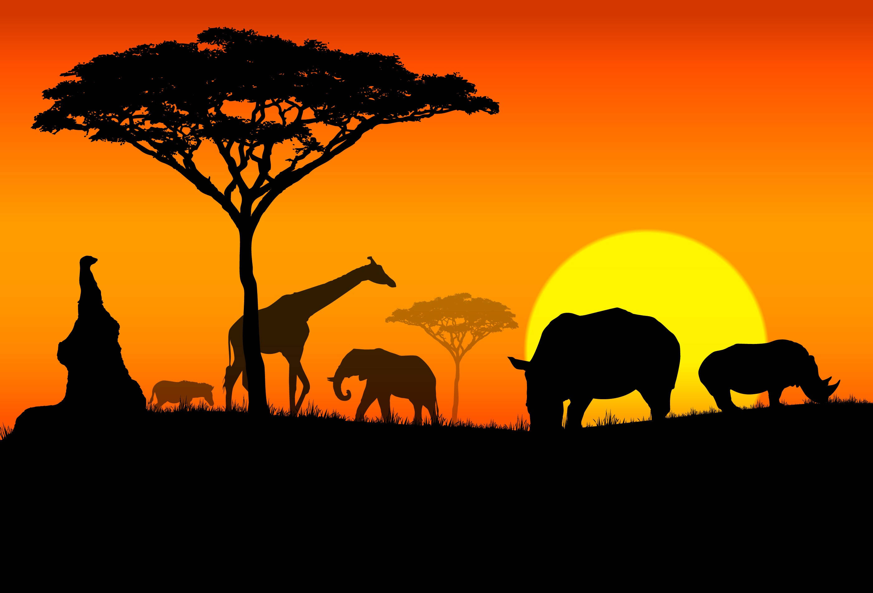 Tanzania, giraffes, elephants, 2K Desktop Wallpaper