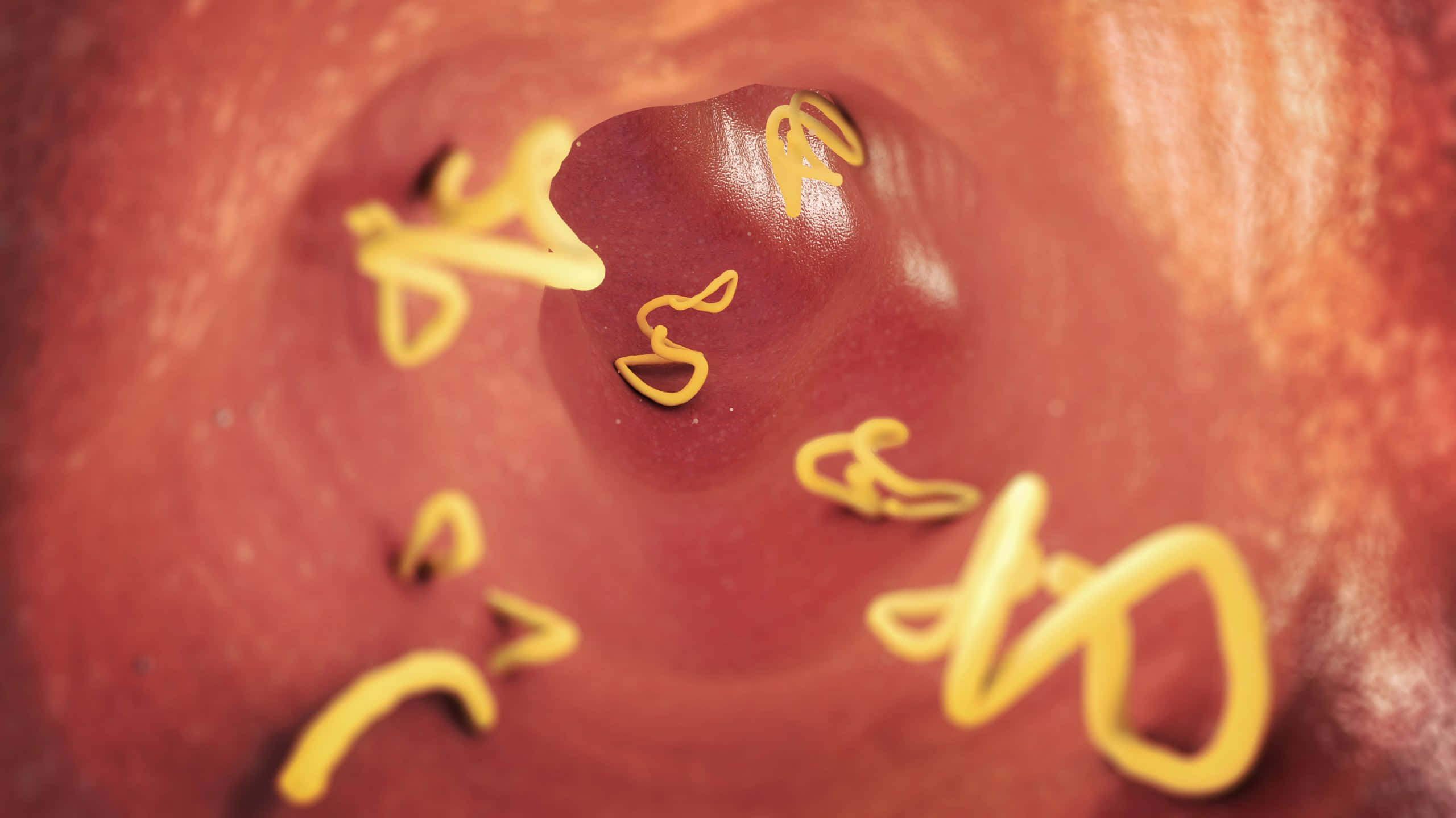 intestinal tapeworms, yellow worm-like parasites, reddish-brown textured intestinal lining, 2K Desktop Wallpaper