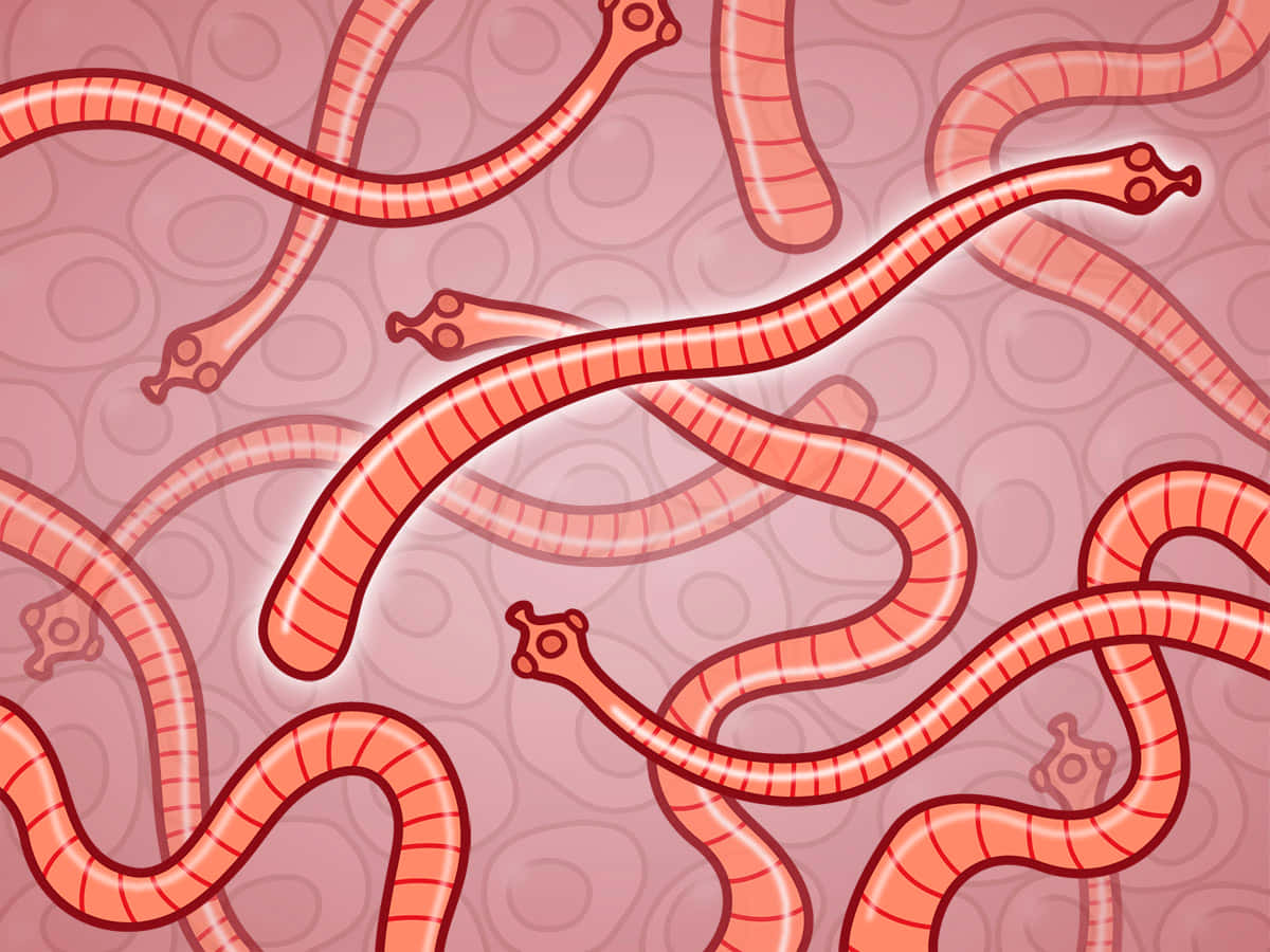 pink striped worms, glowing outlines, soft pink textured background, SD Desktop Wallpaper
