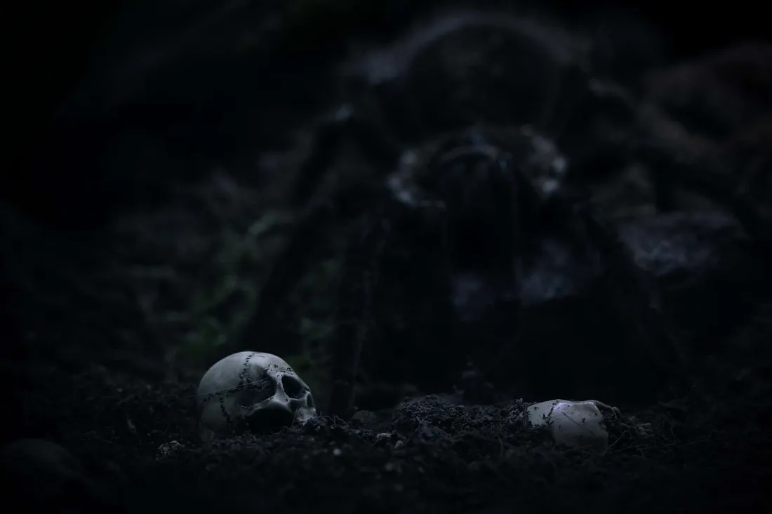 Tarantula