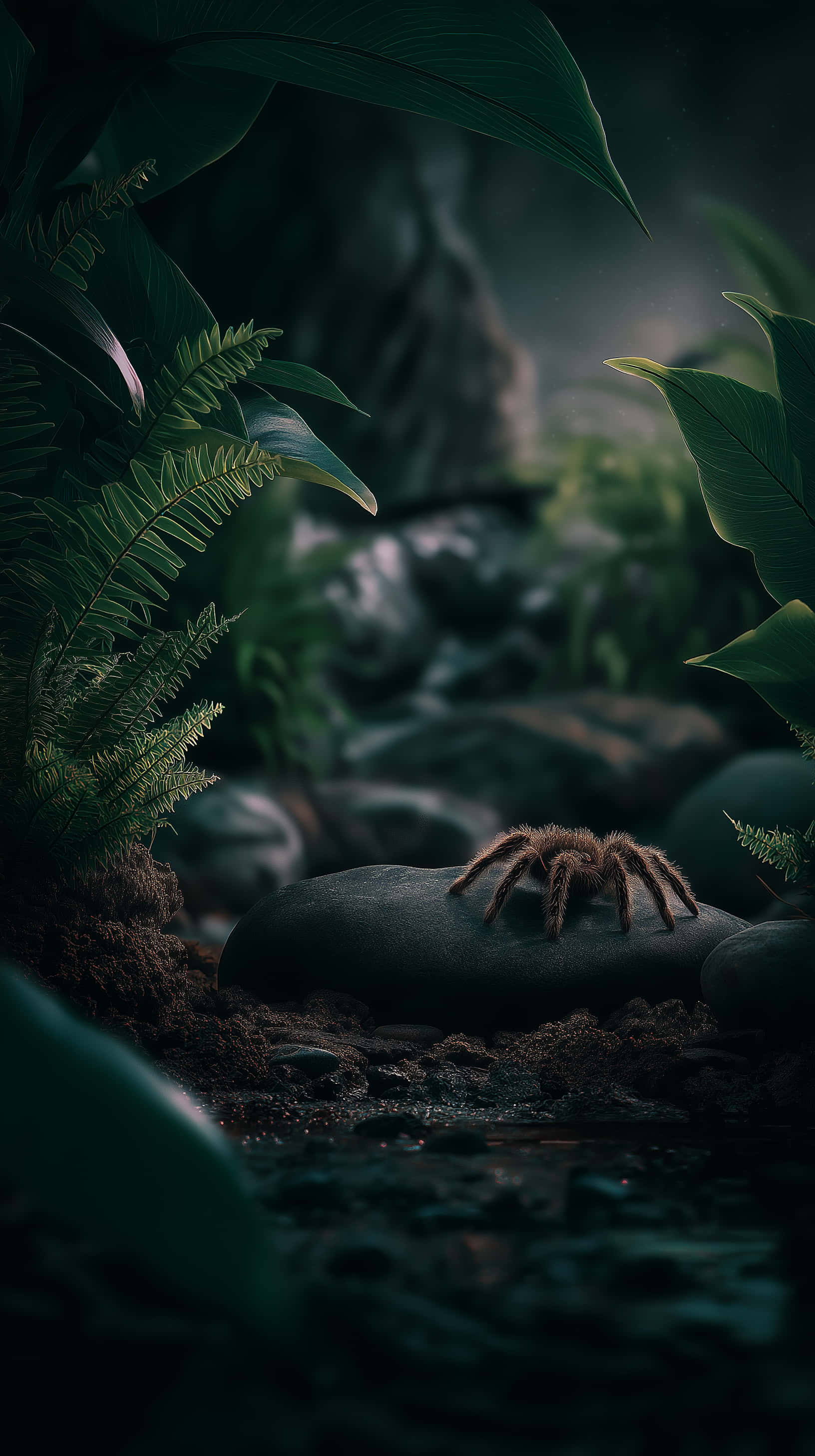 Tarantula, mysterious forest environment, dark wet rock, 2K Phone Wallpaper