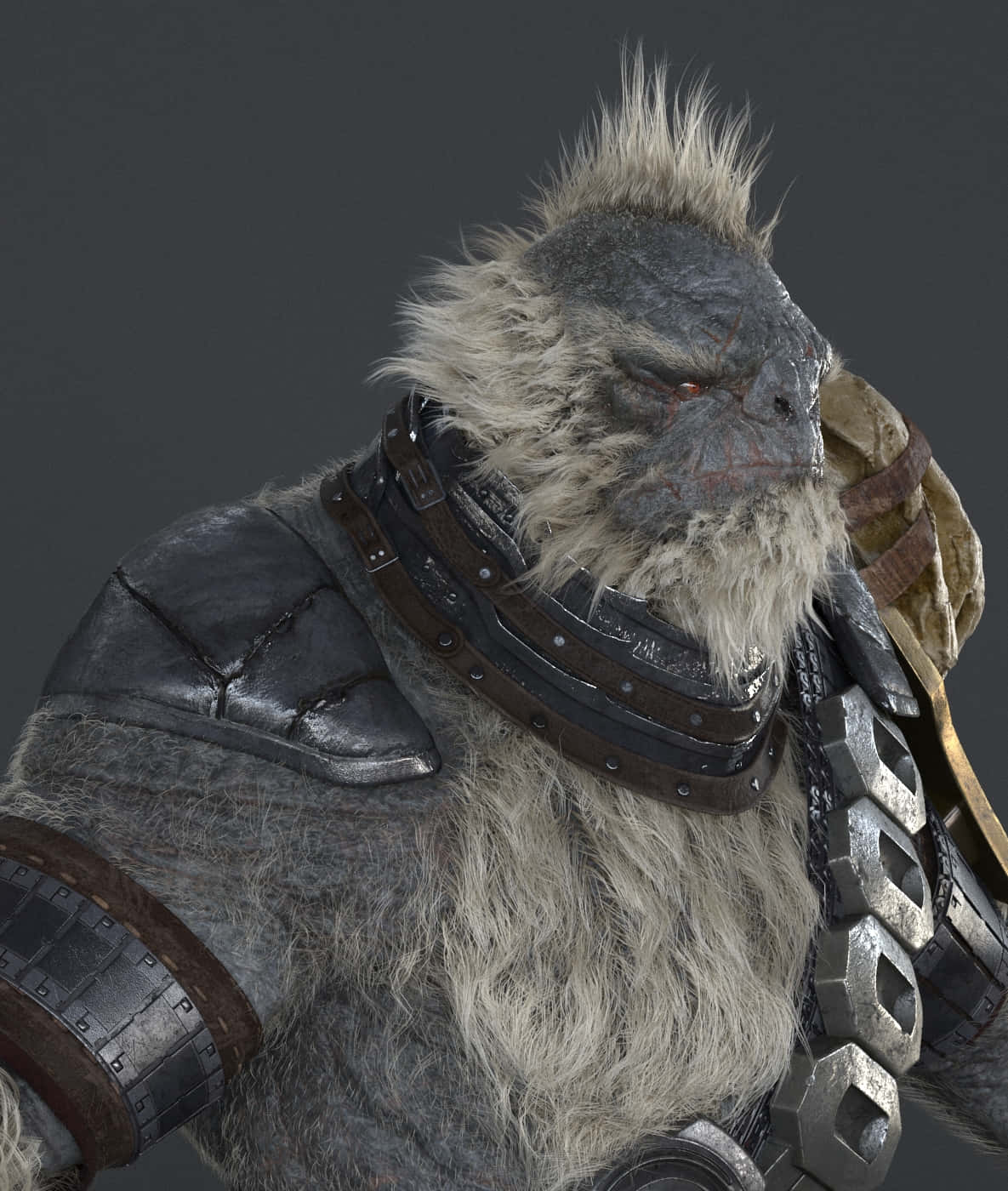 Tartarus, orc warrior, gray fur, HD Phone Wallpaper