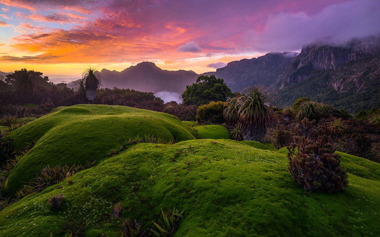 Tasmania, mossy hills, fiery sunset sky, HD Desktop Wallpaper
