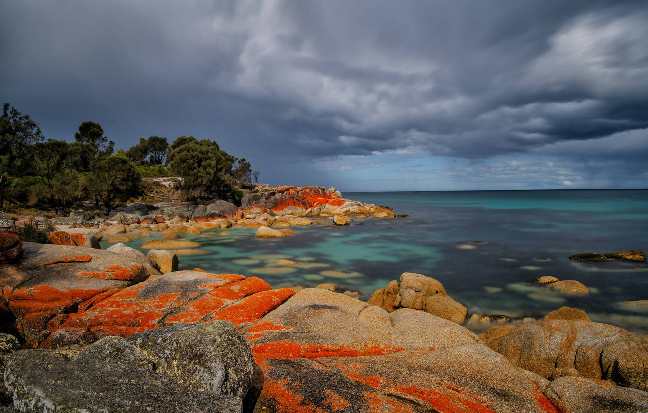 Tasmania, colored red rocks, vivid orange lichen, HD Desktop Wallpaper