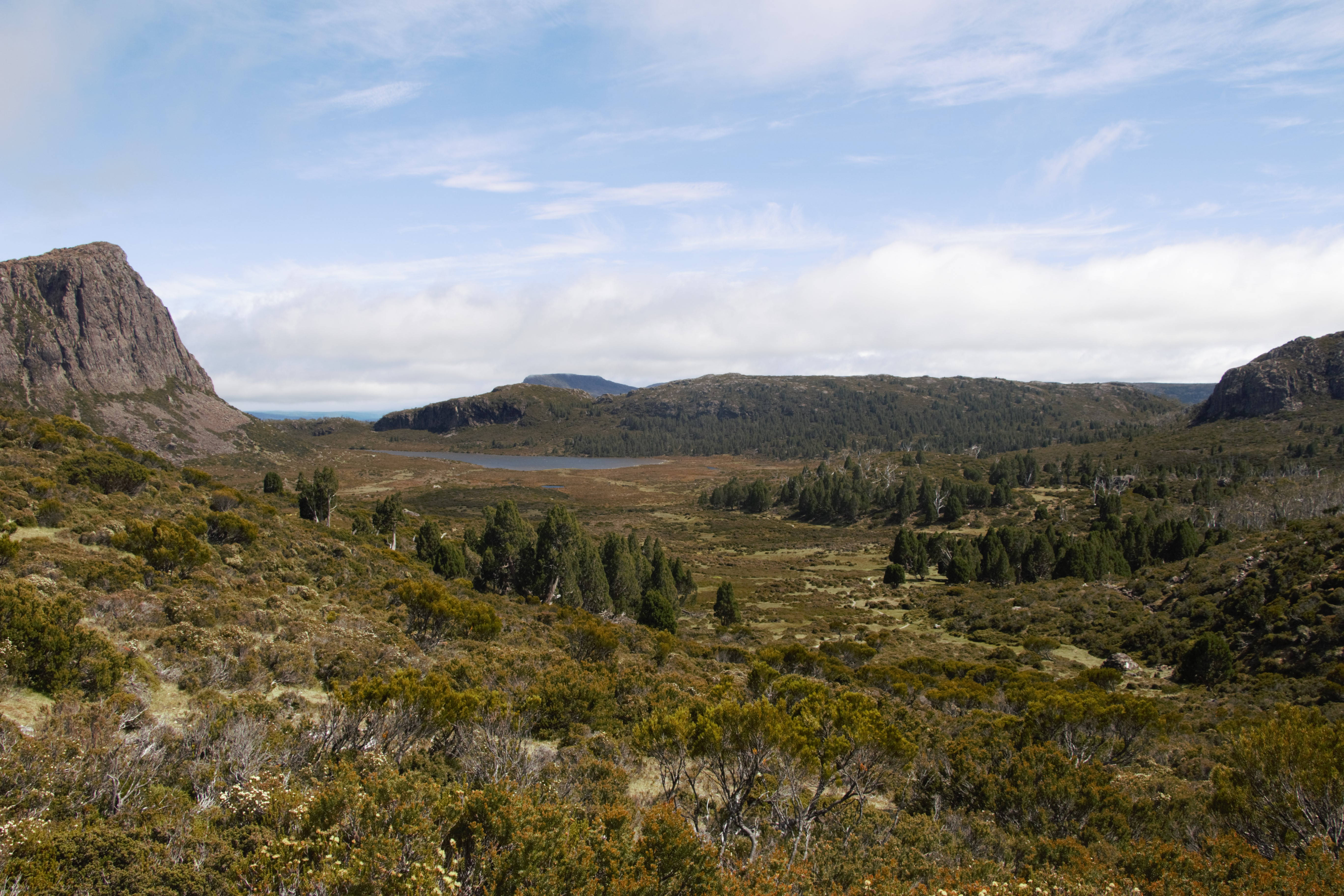 Tasmania, dry forests, valley, 5K Desktop Wallpaper