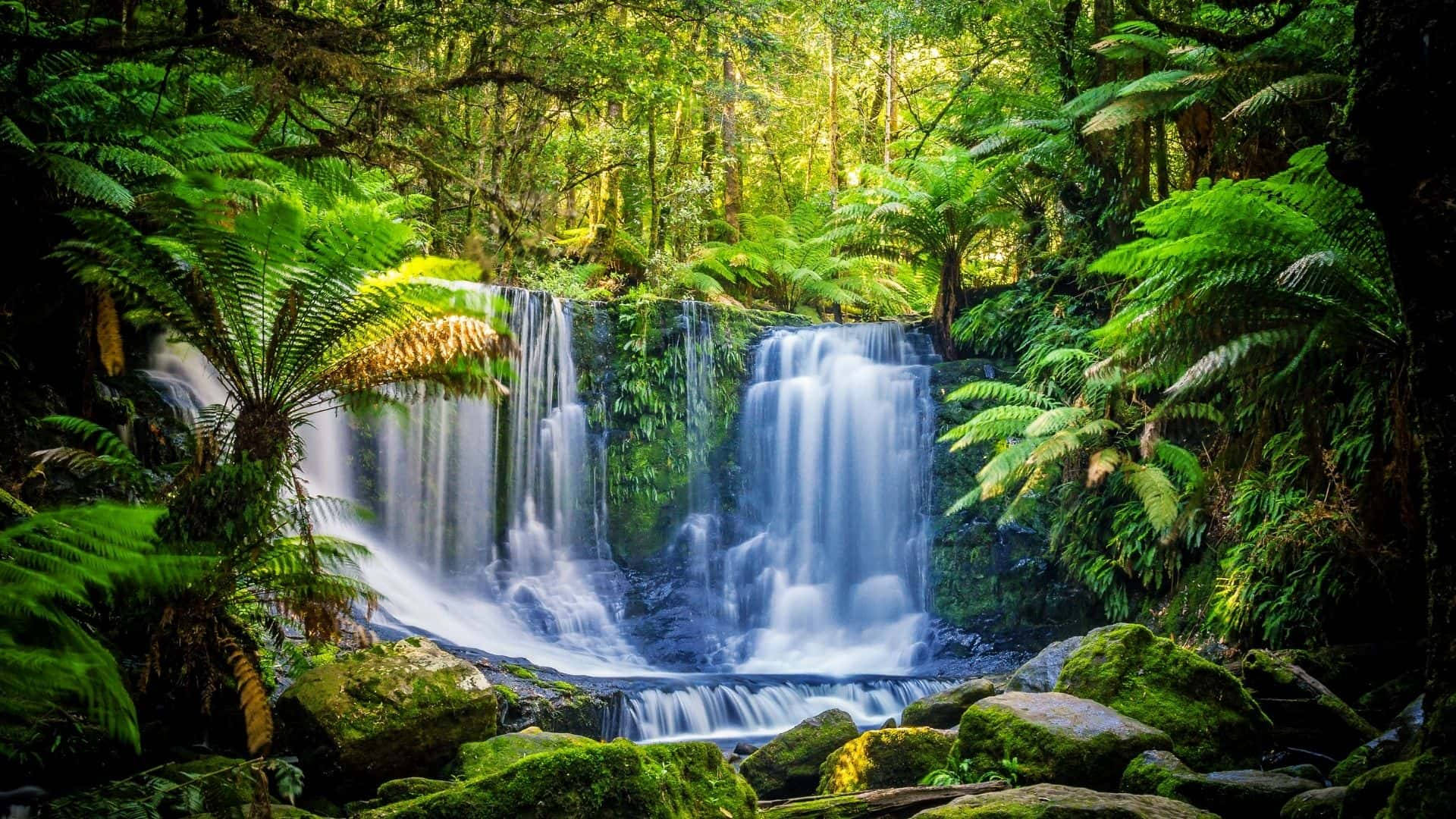 Tasmania, temperate rainforest, waterfall, Full HD Desktop Wallpaper