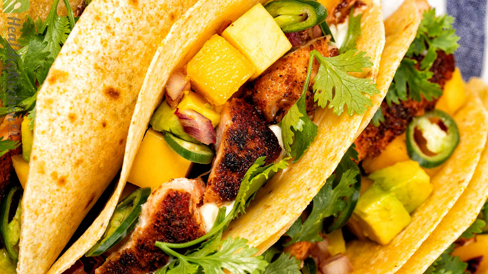 tasty taco dish, grilled chicken, mango, Full HD Desktop Wallpaper