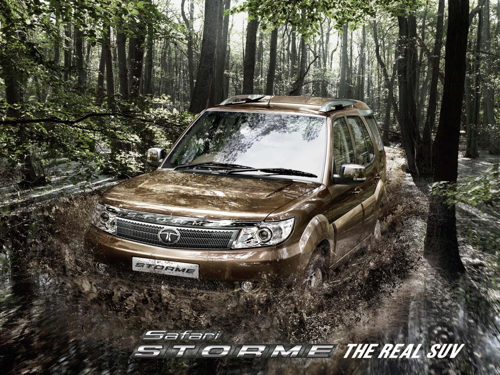 Tata Motors, brown SUV, muddy forest trail, HD Desktop Wallpaper