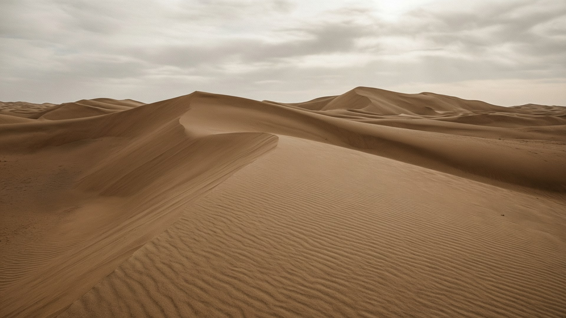 Taupe, desert dunes, monochromatic desert landscape, Full HD Desktop Wallpaper