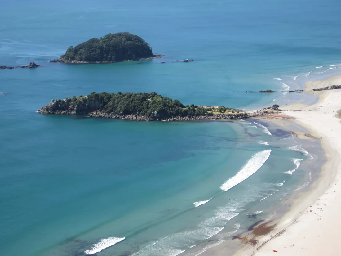 Tauranga