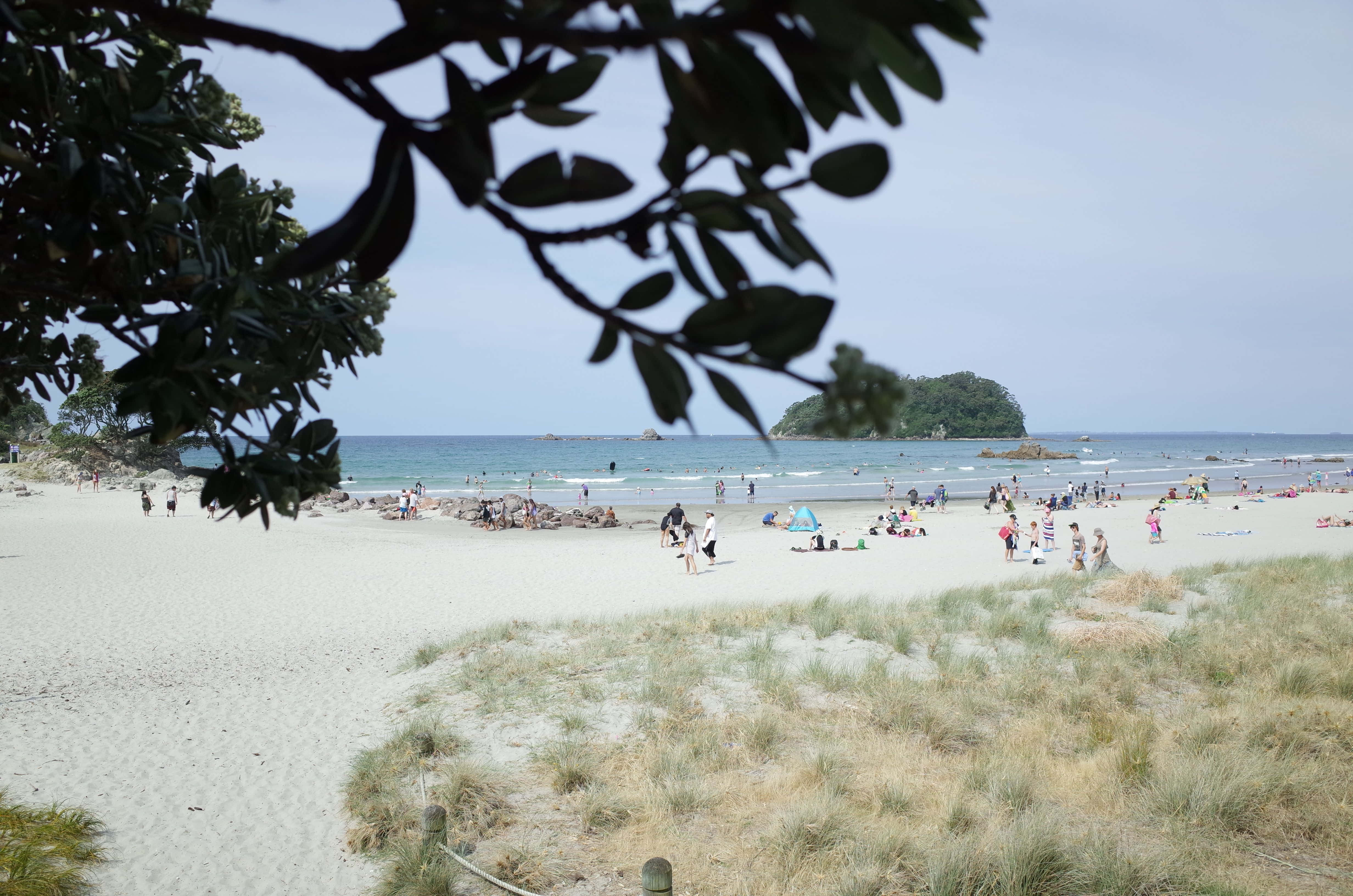 Tauranga Beach, summer day, sunny beach scene, 4K Desktop Wallpaper