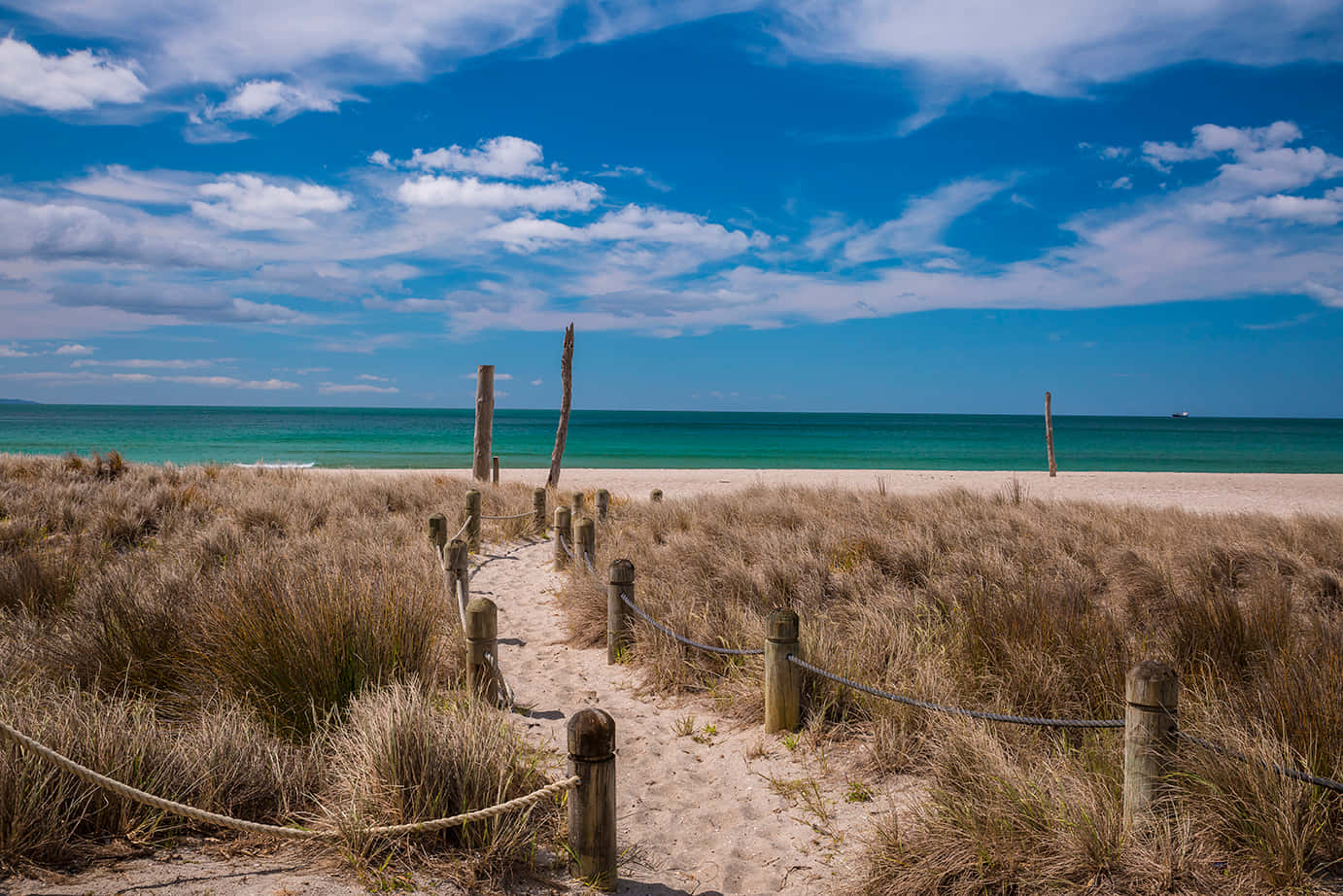 Tauranga, coastal pathway, beach, HD Desktop Wallpaper