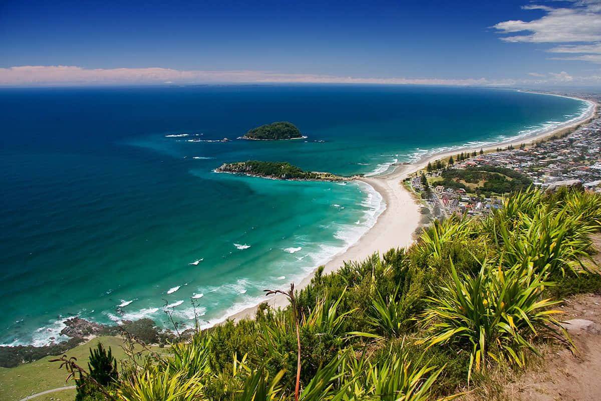 Tauranga, coastal bay, turquoise waters, SD Desktop Wallpaper