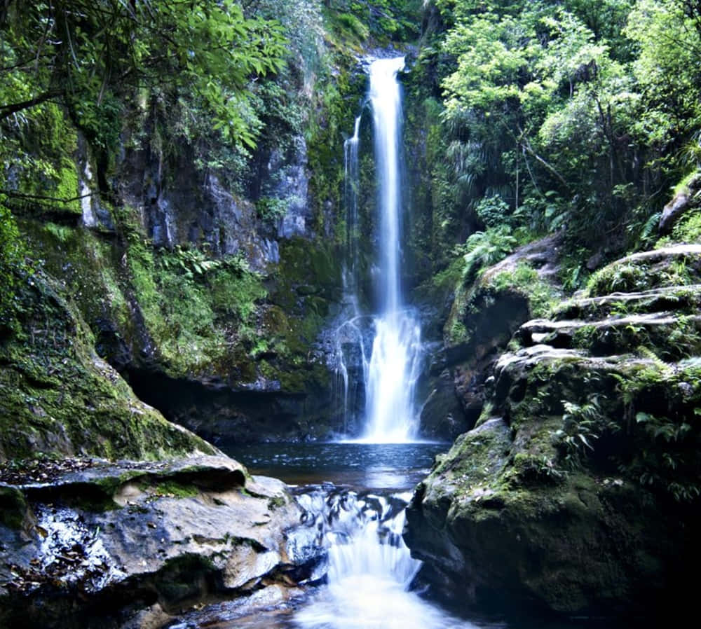 serene waterfall, lush green forest, calm pool, SD Desktop Wallpaper