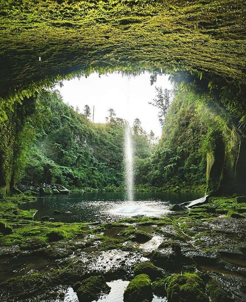 enchanted waterfall grotto, Tauranga, mossy cave arch, SD Phone Wallpaper