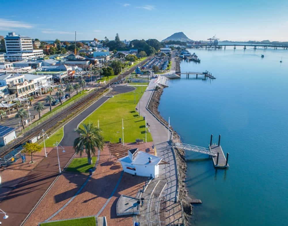 Tauranga, waterfront, aerial view, SD Desktop Wallpaper