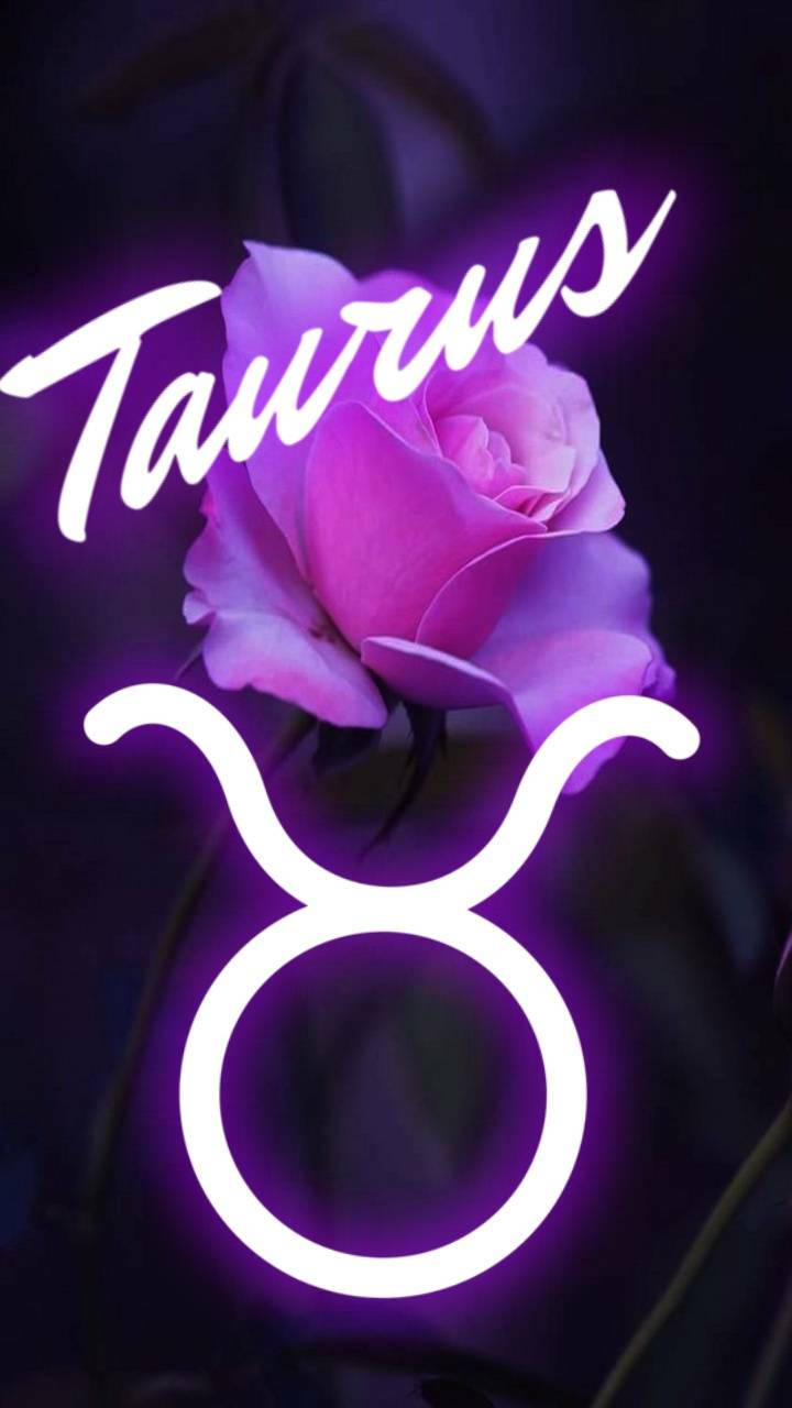Taurus Zodiac Rose, neon Taurus sign, vibrant purple rose, HD Phone Wallpaper