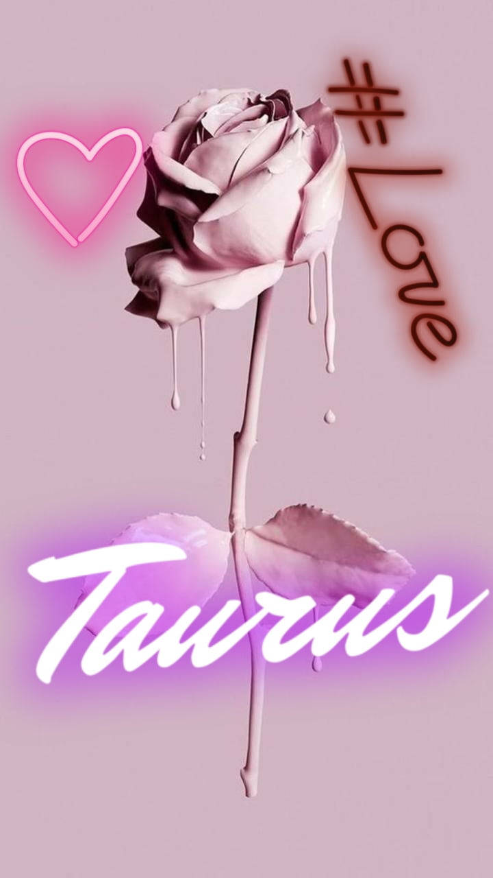 Taurus, melting flower, pink rose, HD Phone Wallpaper