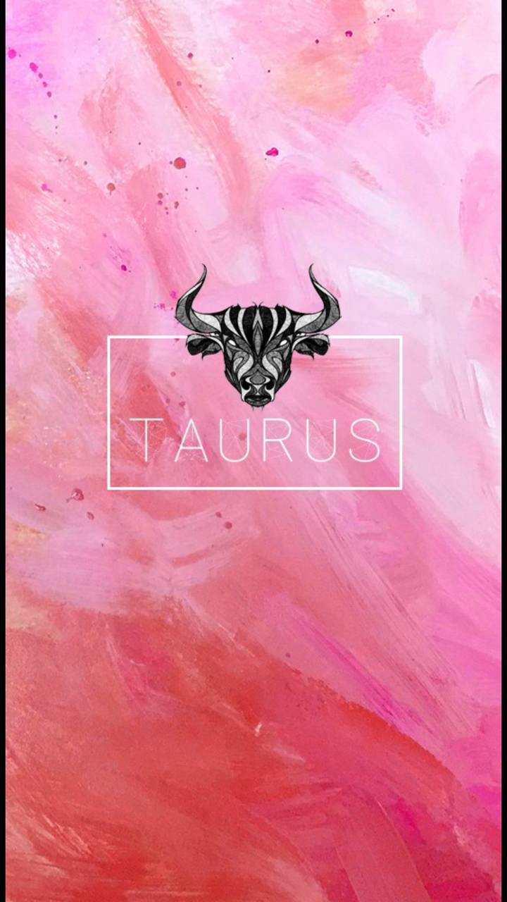 Taurus, black and white bull head, white box, HD Phone Wallpaper