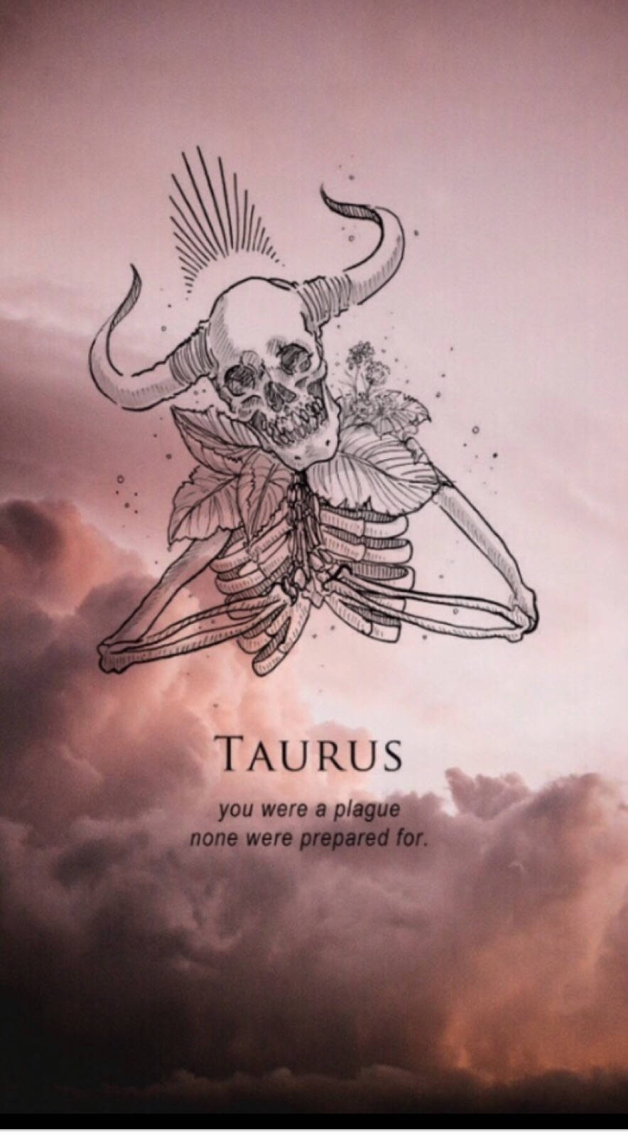 Taurus, skeletal taurus skull, horns, HD Phone Wallpaper