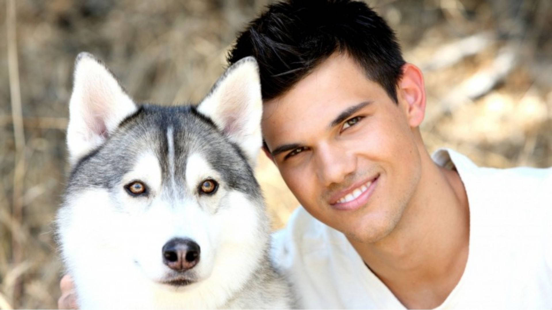 Taylor Lautner, Siberian Husky, amber eyes, Full HD Desktop Wallpaper