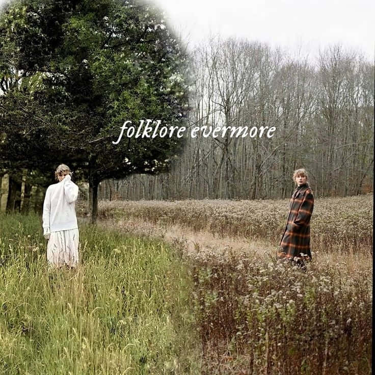 Taylor Swift, Folklore, field of tall grass, SD Desktop Wallpaper