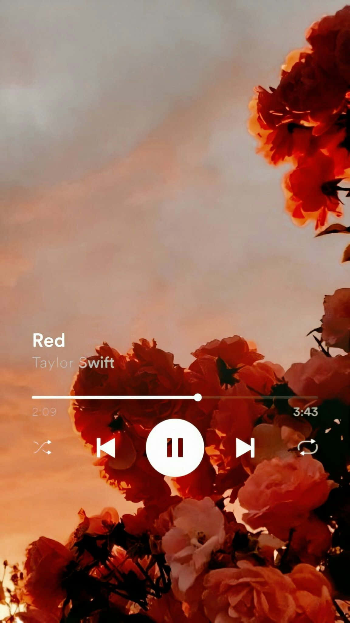 Taylor Swift, Red, vibrant red roses, Full HD Phone Wallpaper