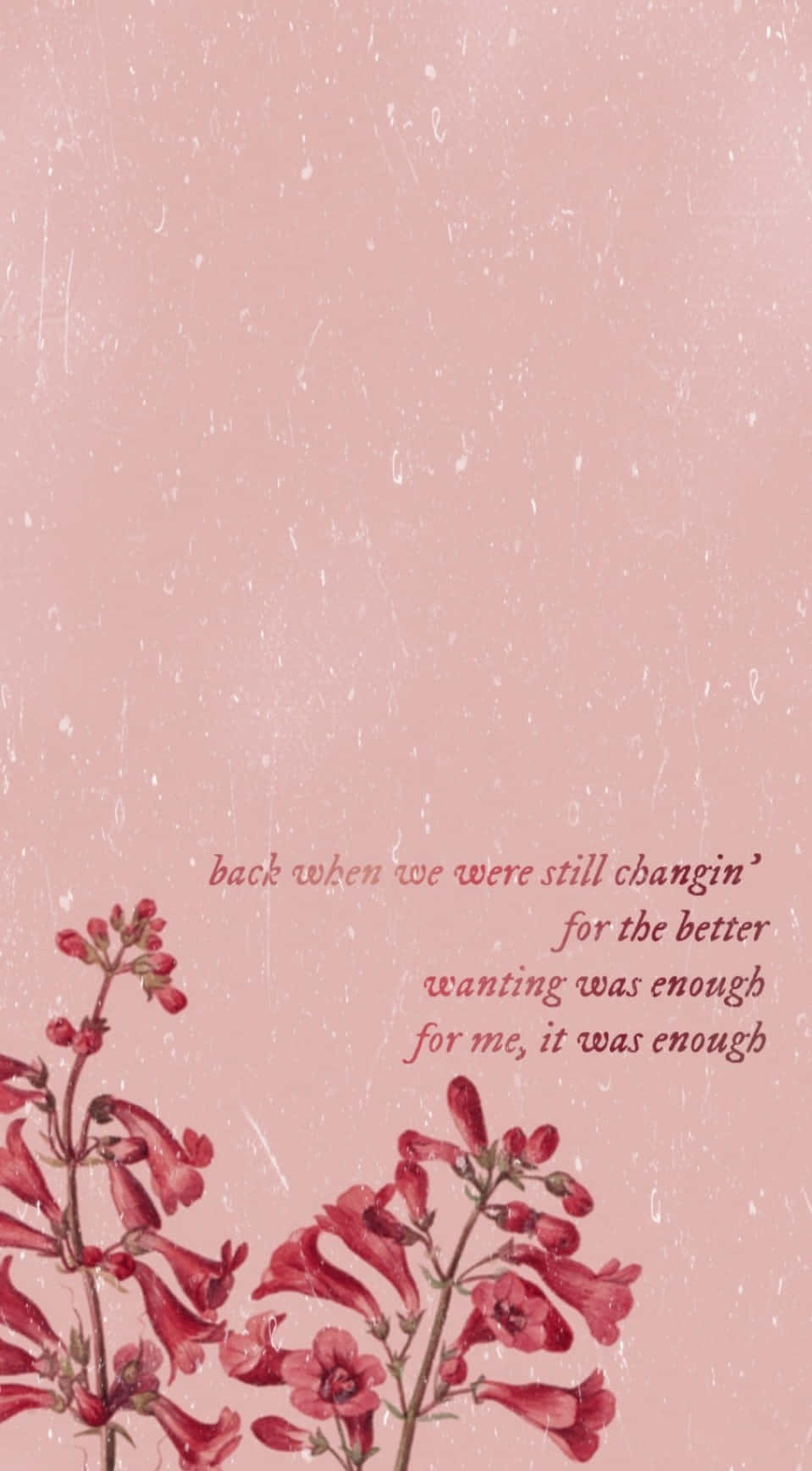 Taylor Swift, wildflower, pink textured background, HD Phone Wallpaper