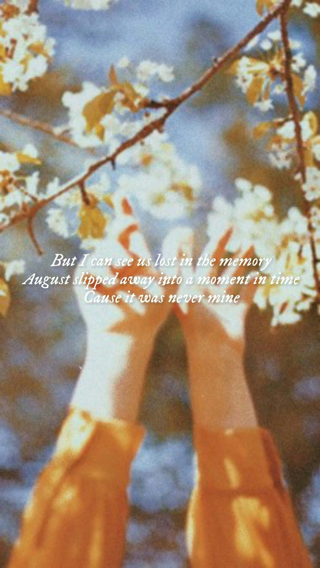 Taylor Swift Lyrics, white flowers, soft blue sky, HD Phone Wallpaper