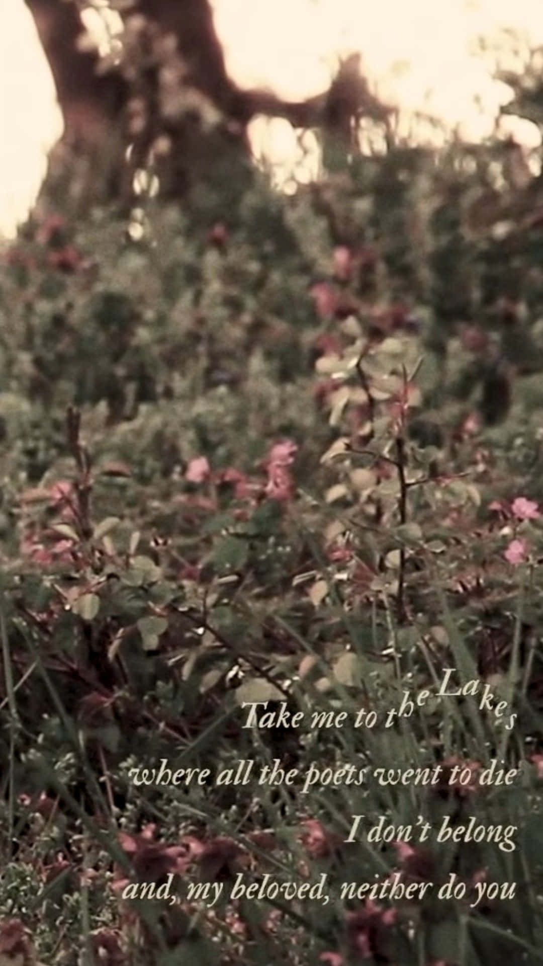 Taylor Swift, Cause I knew you were trouble when you walked in, vintage sepia-toned, Full HD Phone Wallpaper