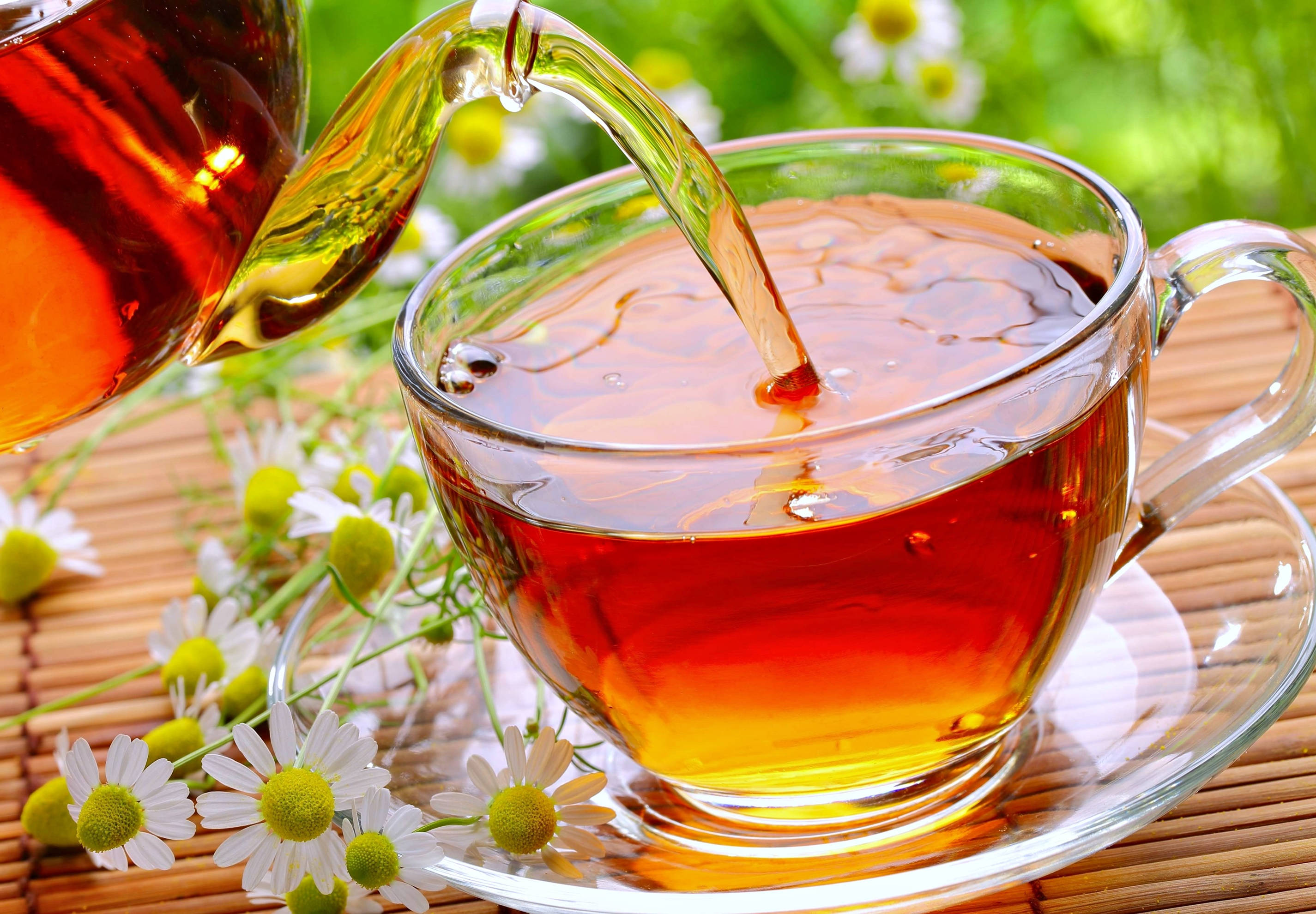 cute chamomile tea, golden tea, glass kettle, 2K Desktop Wallpaper